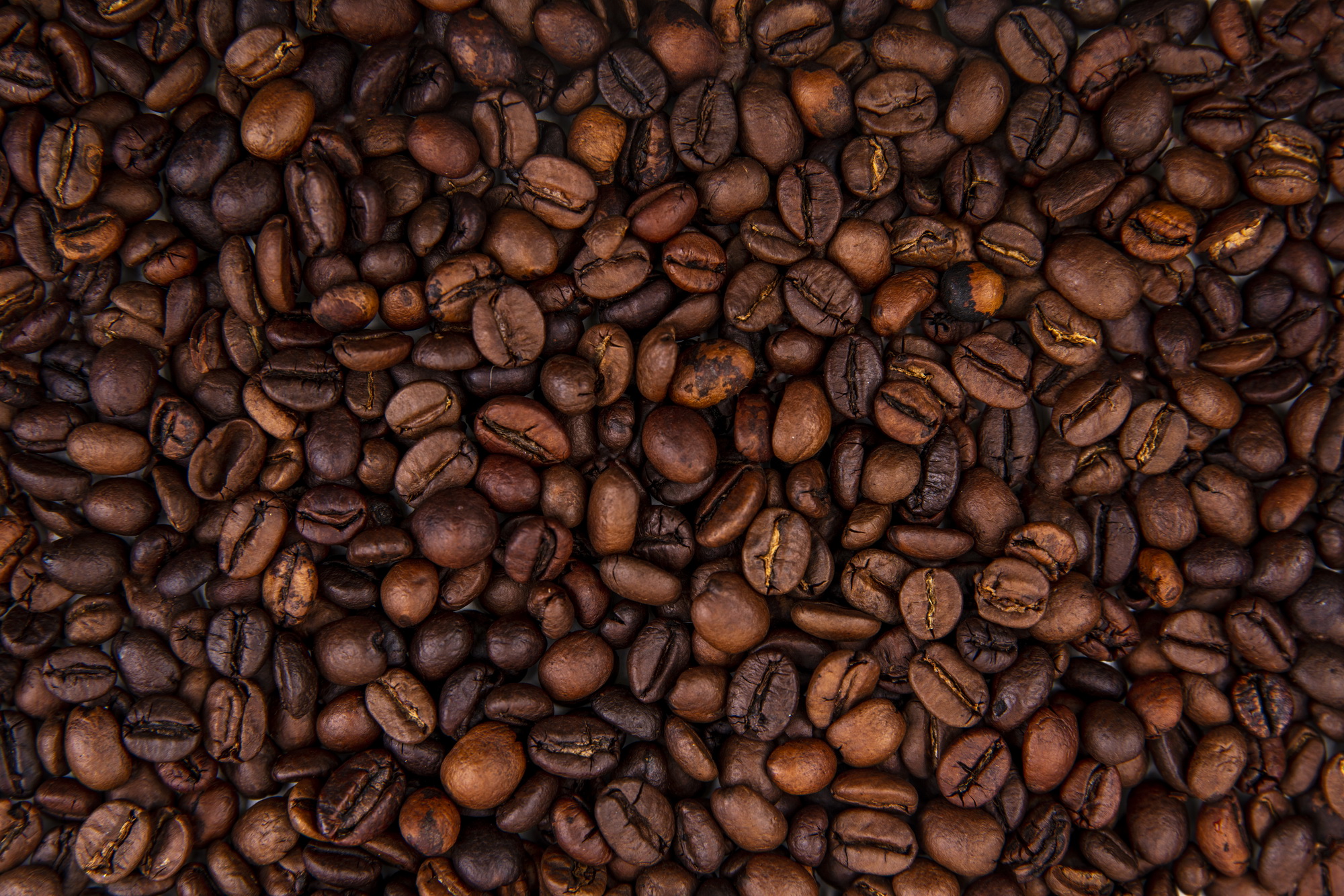 close up view of dark fresh roasted coffee beans on coffee beans background